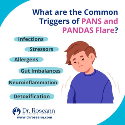 List of common PANDAS flare triggers like infections, stress, and gut imbalances.