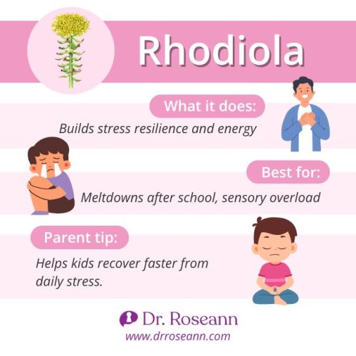 An infographic about Rhodiola as one of the herbs for mental health, highlighting its benefits for building stress resilience and helping kids recover from daily stress.