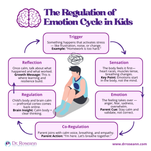 Flowchart illustrating The Regulation of Emotion Cycle in Kids with 6 steps: Trigger, Sensation, Emotion, Co-Regulation, Regulation, and Reflection, emphasizing that emotions start in the body, not the mind.