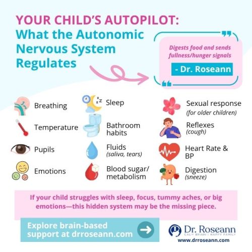 Chart showing what the autonomic nervous system regulates in kids, including sleep, digestion, and emotions.