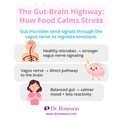 Infographic explaining the gut-brain connection and how food calms stress. Healthy gut microbes strengthen vagus nerve signaling, the vagus nerve provides a direct pathway to the brain, and a balanced gut supports calmer mood with less reactivity